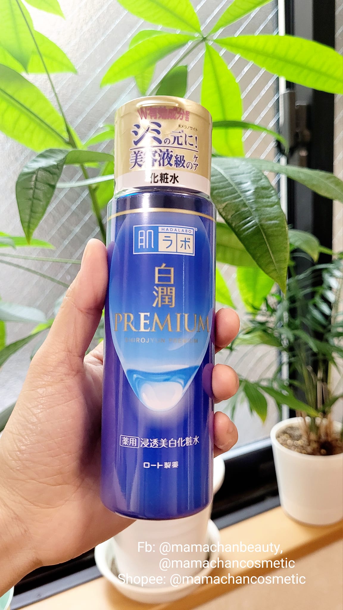 SET DƯỠNG SÁNG DA HADA LABO