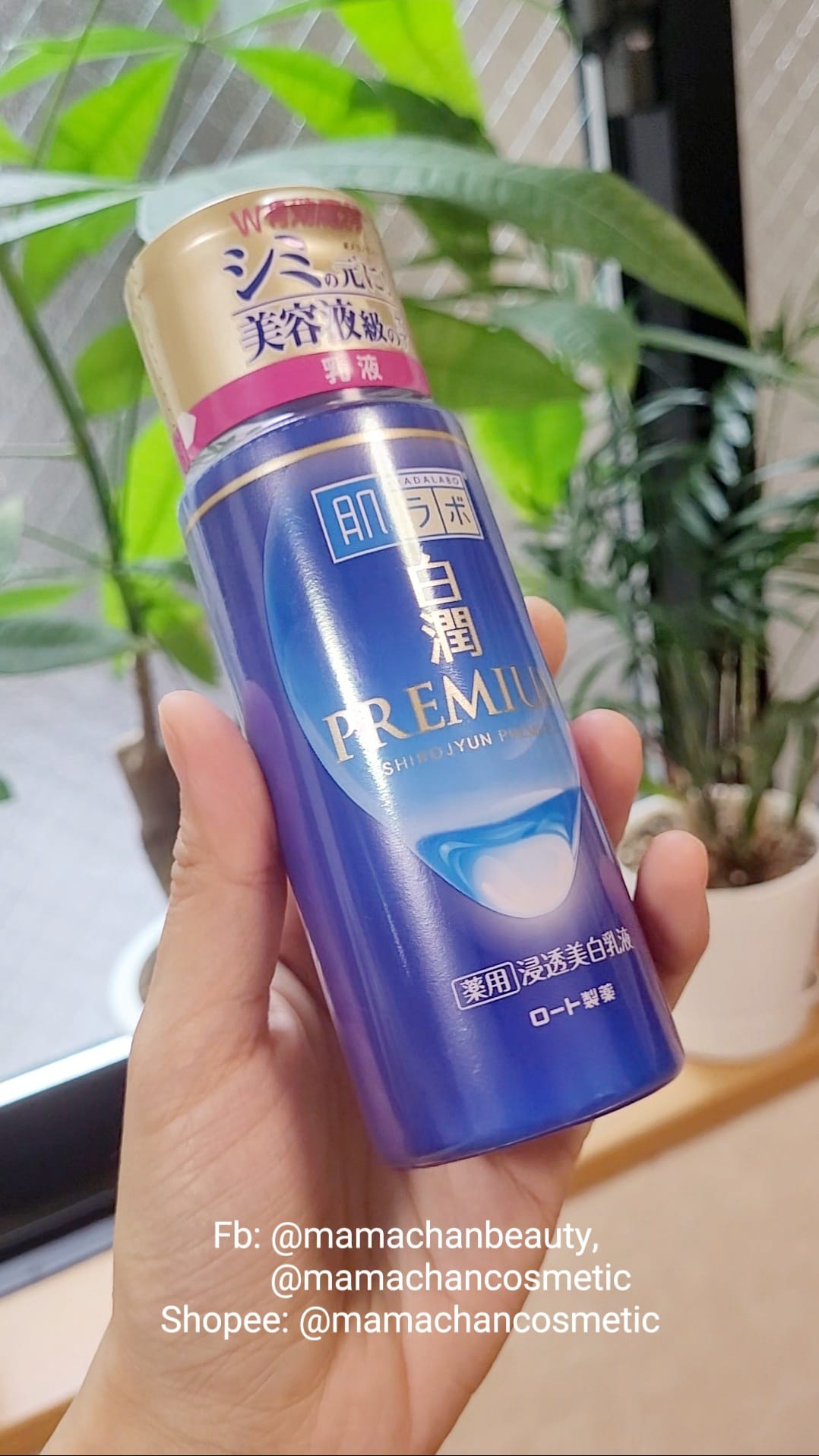 SET DƯỠNG SÁNG DA HADA LABO - Hình ảnh 2